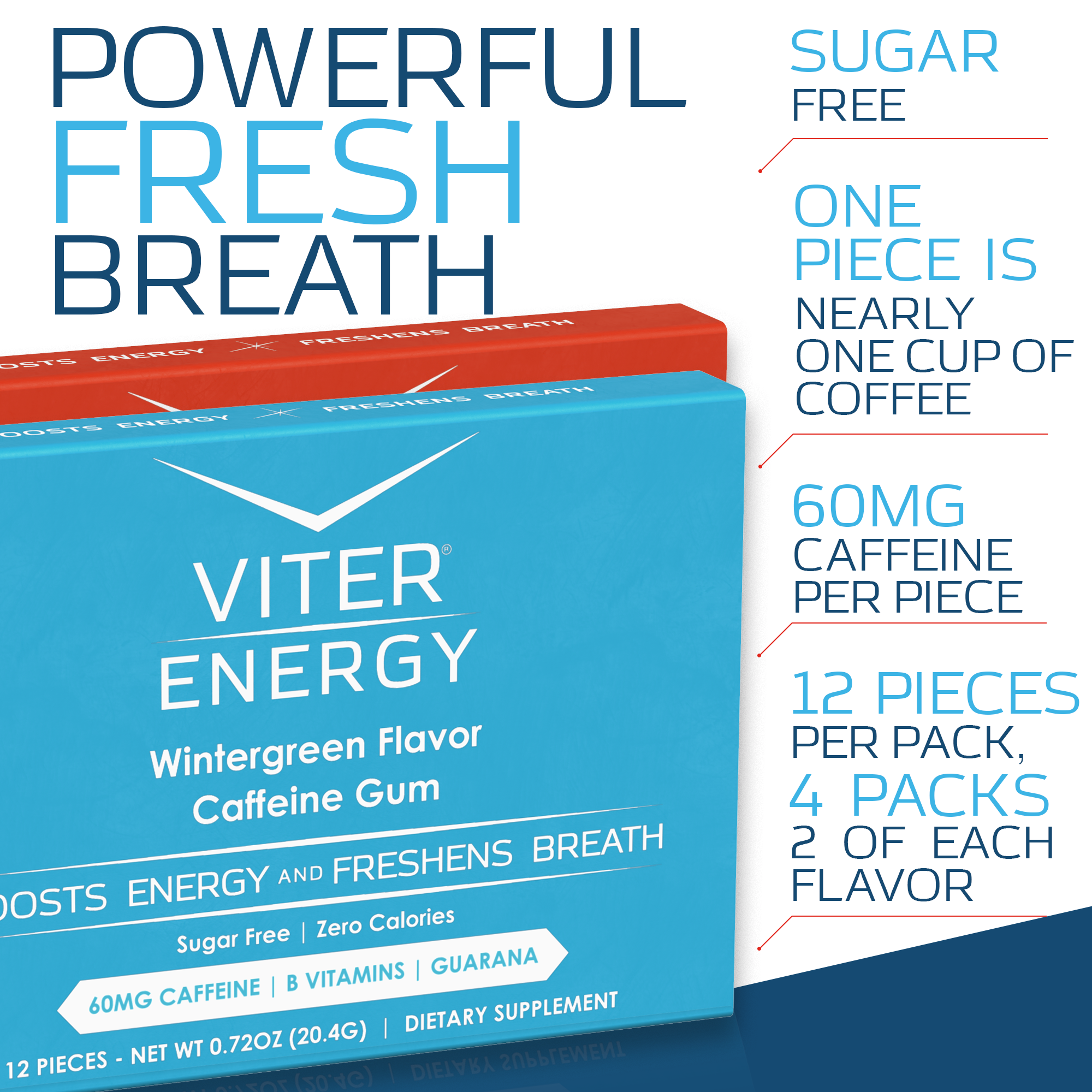 Viter Energy Caffeine Gum - 2 Flavor Variety Pack